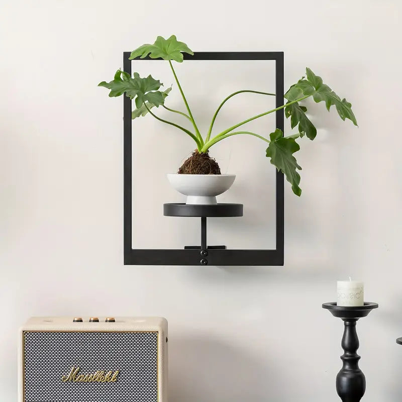 Marco Plantita | Vindahls®